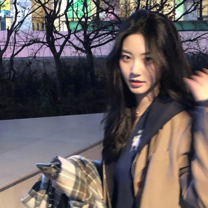 淑女宠爱