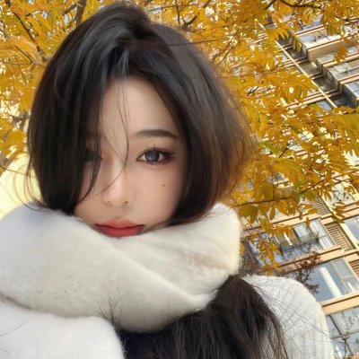 世界街头女斗士3